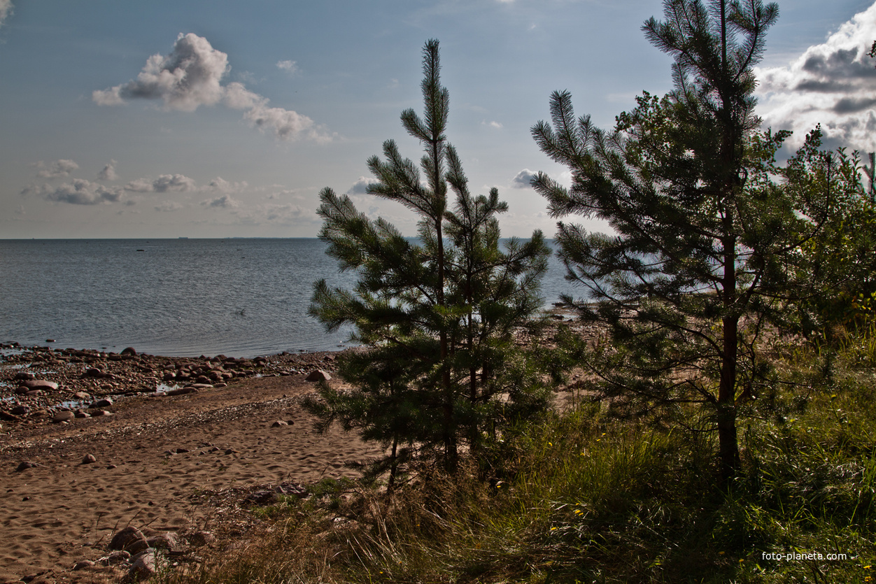 Финский залив