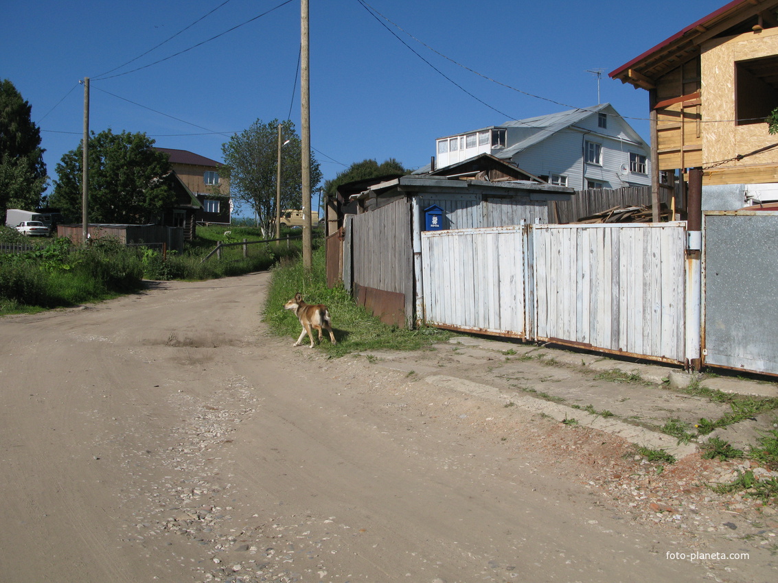 Выльгорт 2014 - ул. Полевая