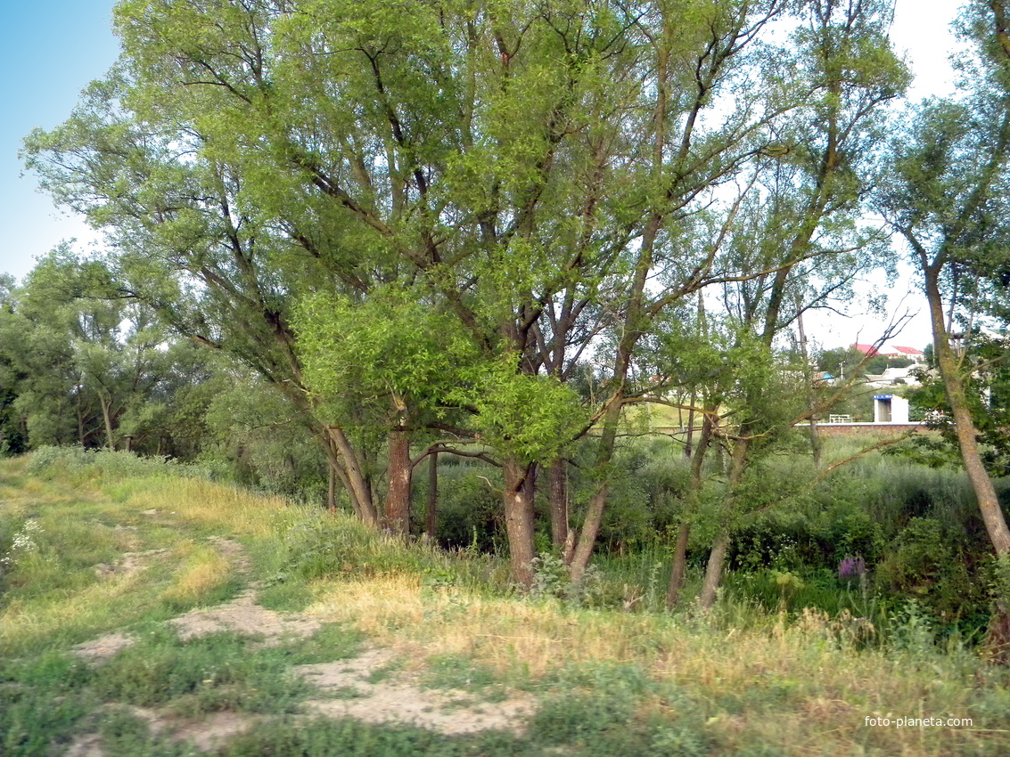Природа села Пушкарное