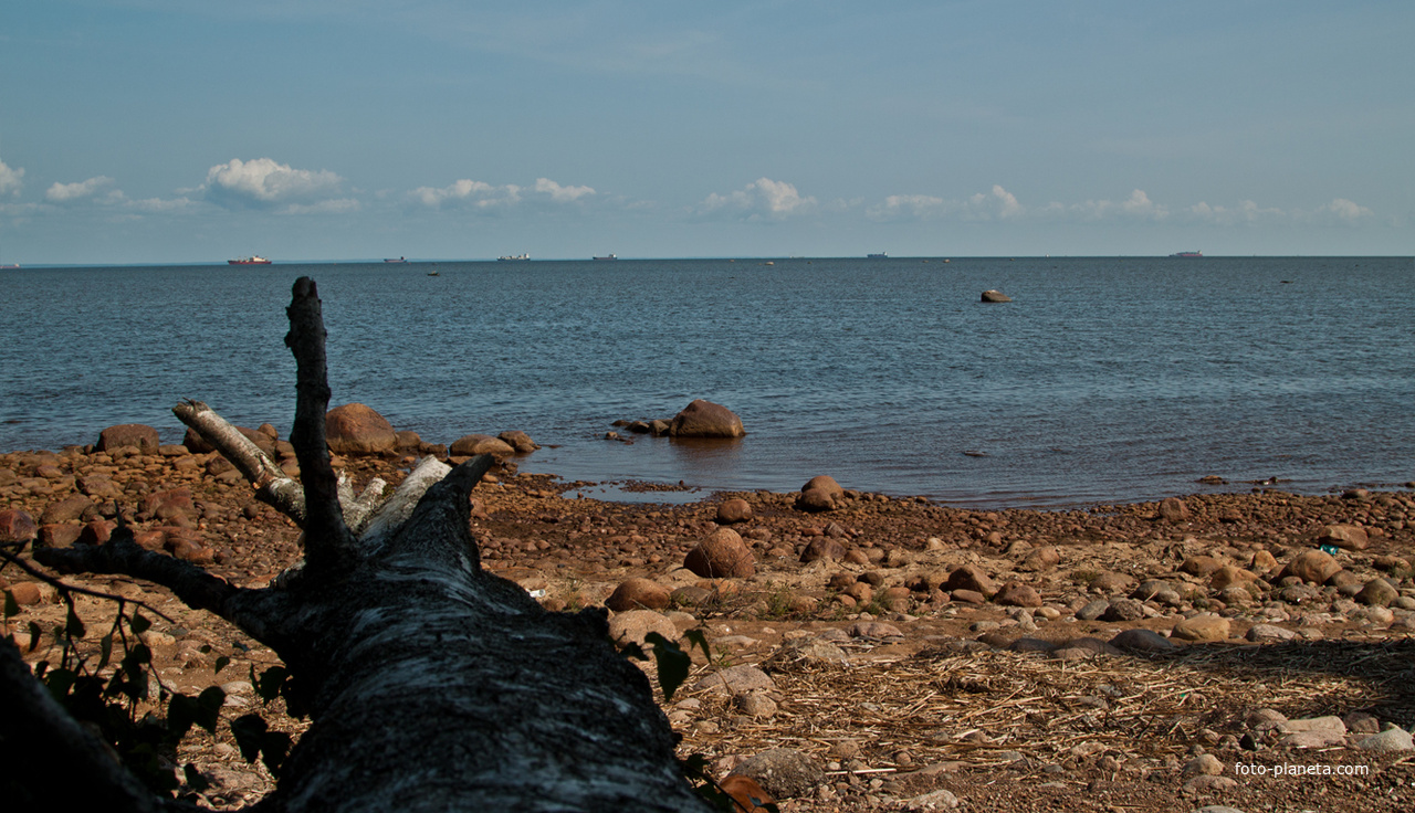 Финский залив