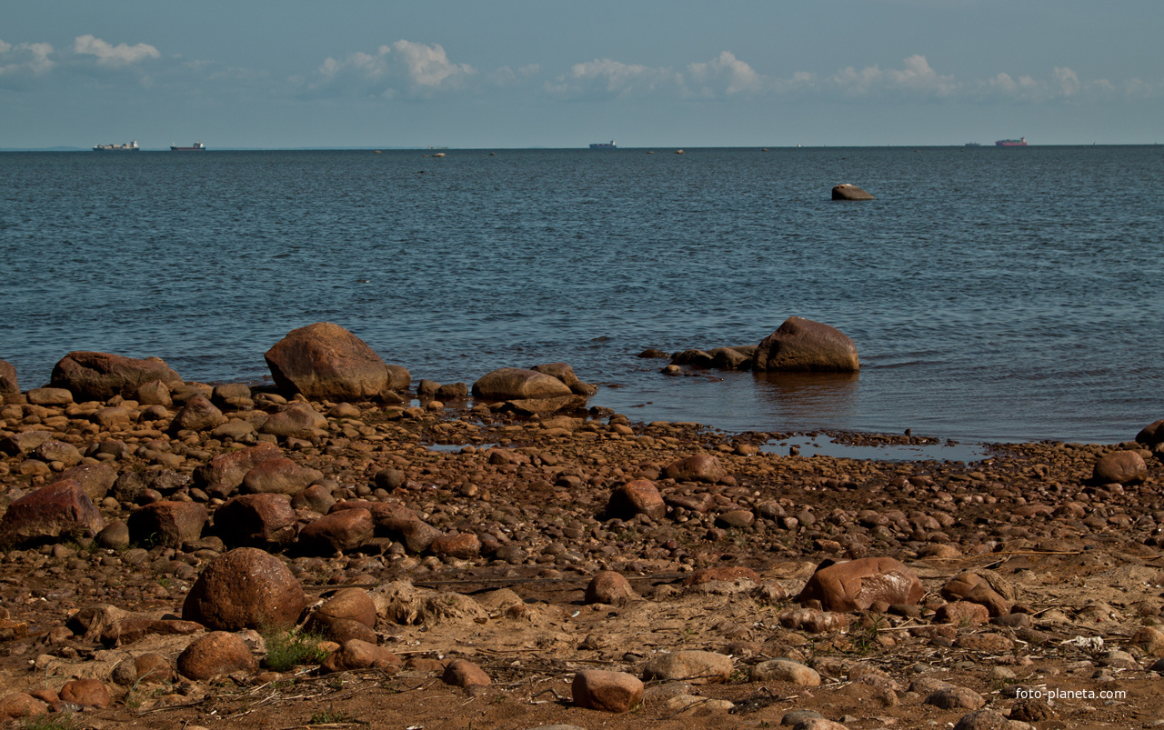 Финский залив