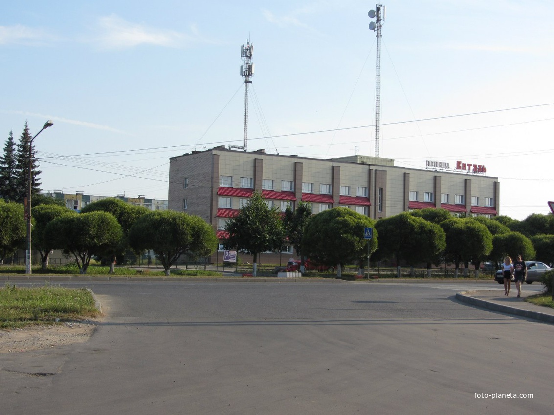 Гостиница &quot;Витязь&quot;