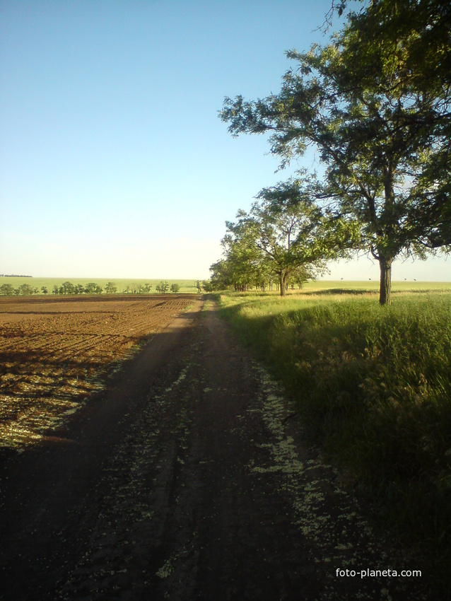 Дорога к хутору