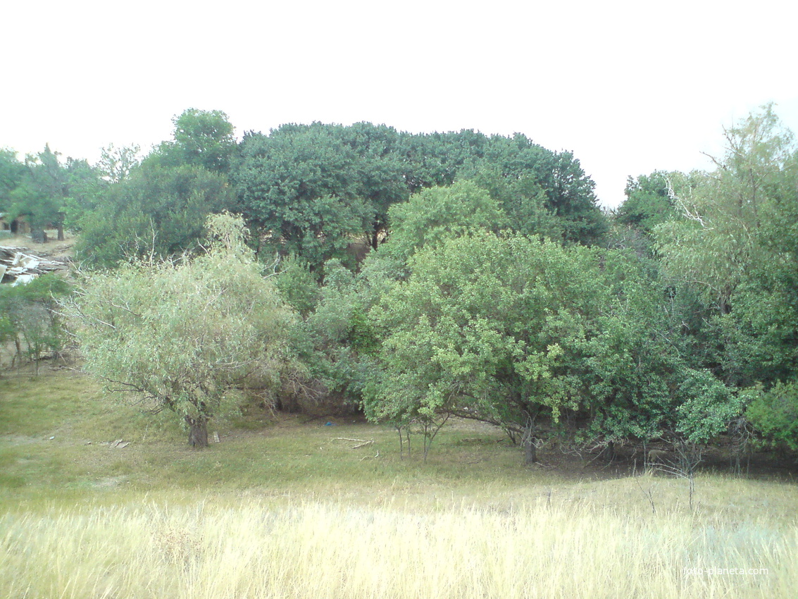 Сад Луговенко