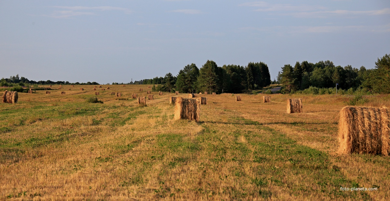 Осеннее поле.