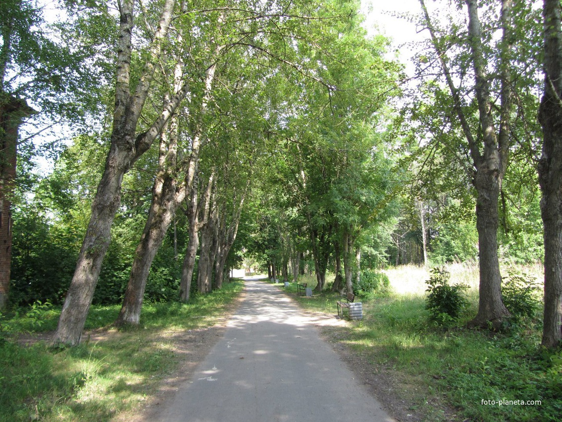 Ивангород, парк усадьбы Штиглица