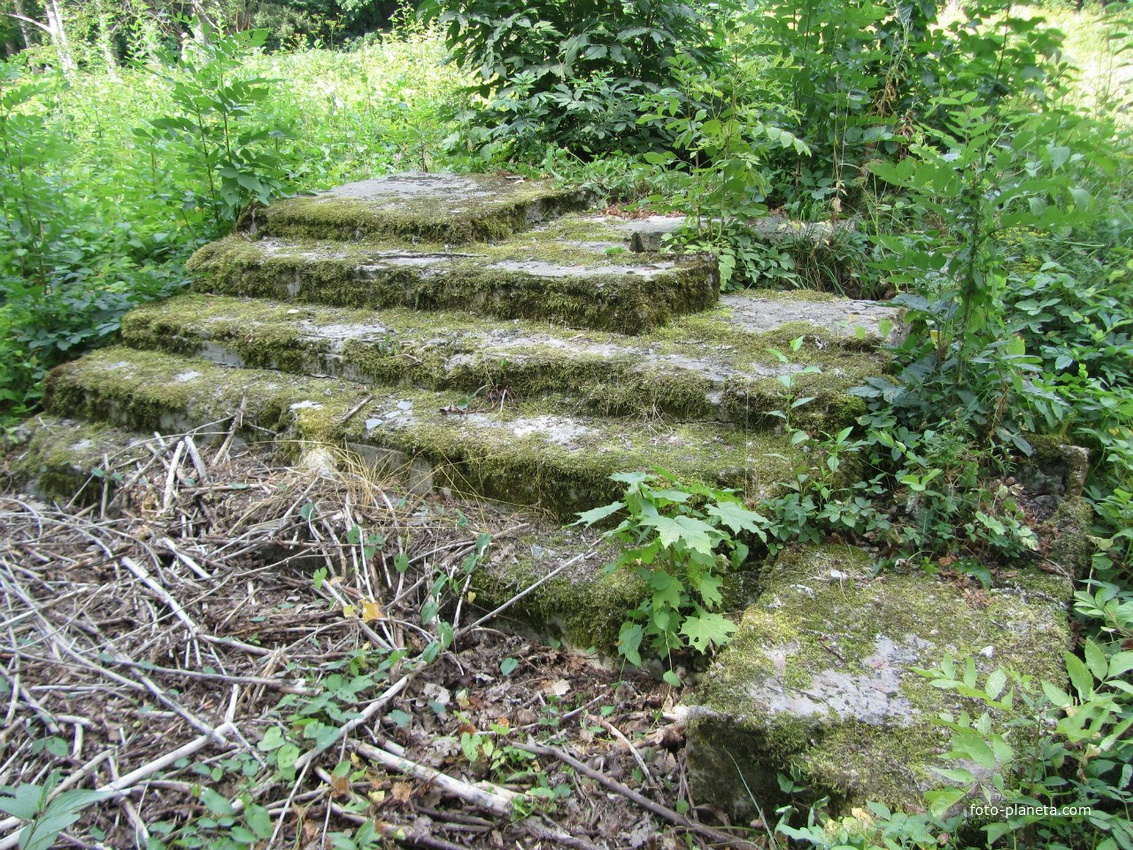 Ивангород, парк усадьбы Штиглица