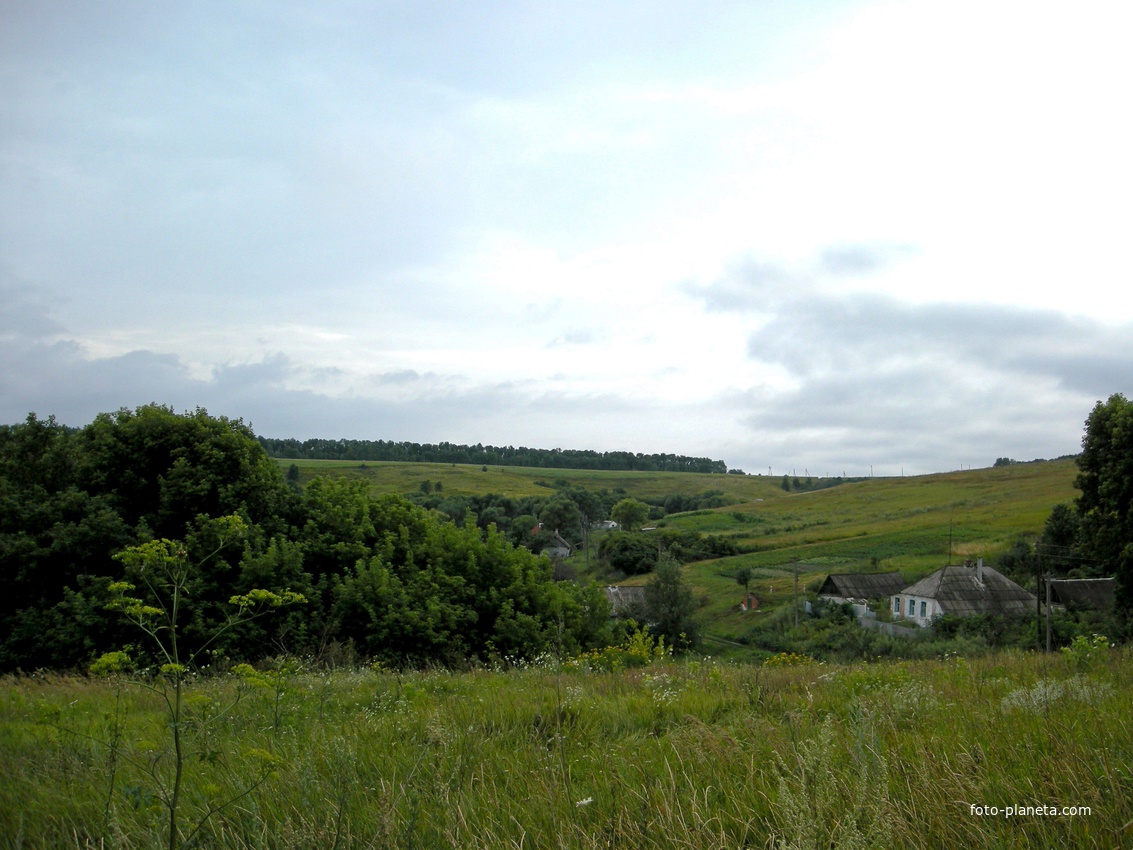 Вид на село Солнцевка