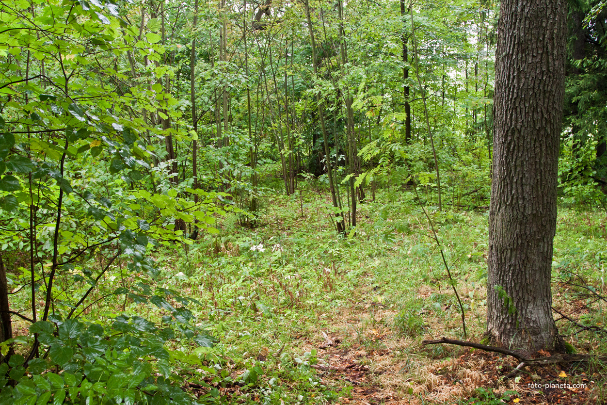 Фермский парк