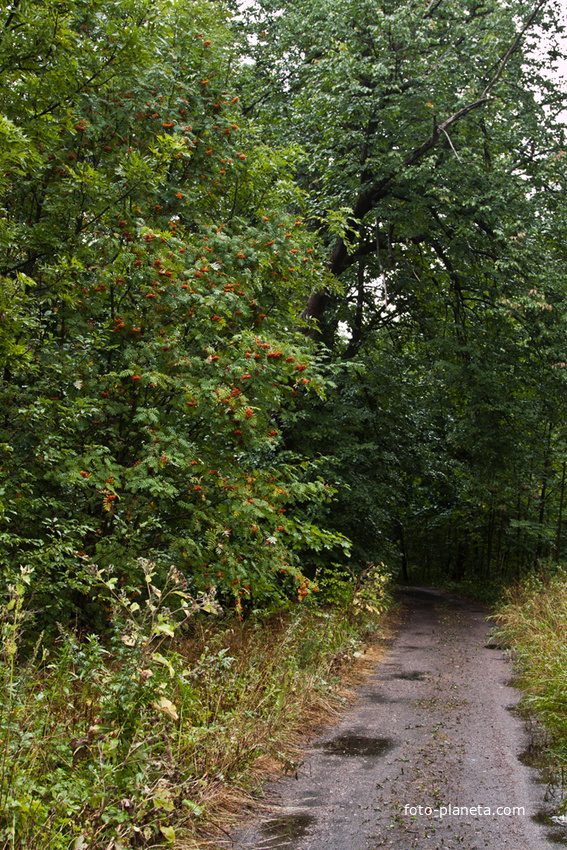 Фермский парк