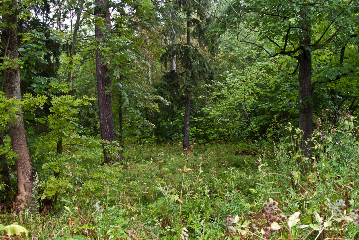 Фермский парк