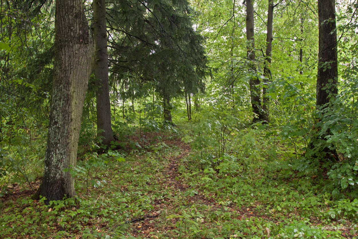 Фермский парк