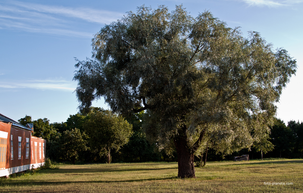 Фермский парк
