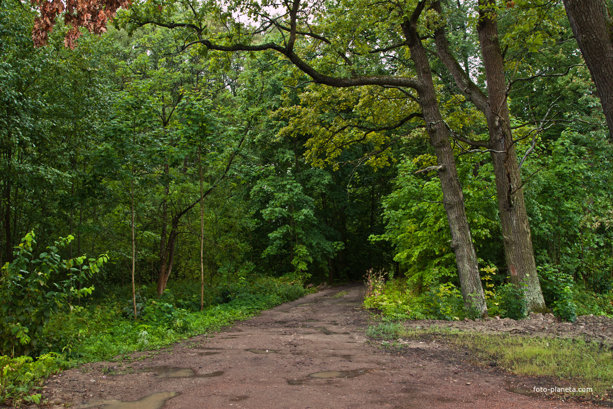 Фермский парк