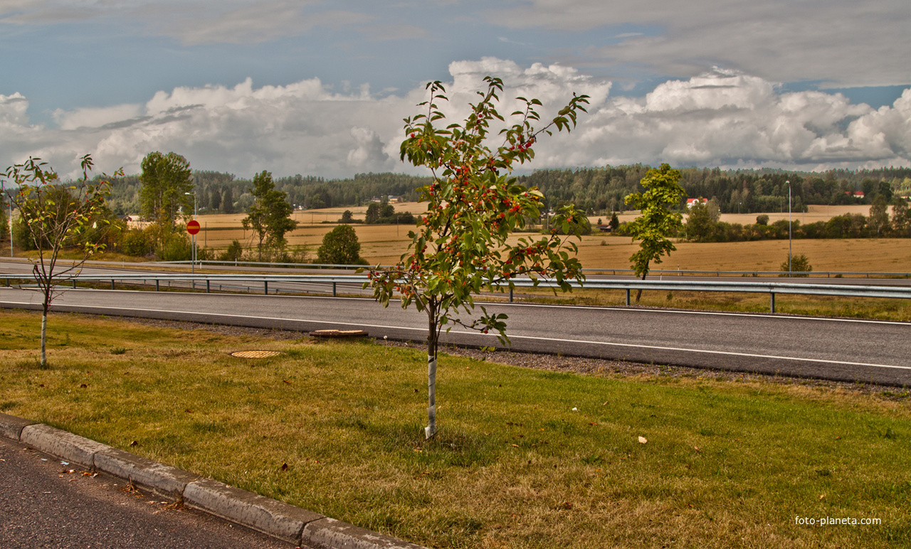 По дороге из Котки