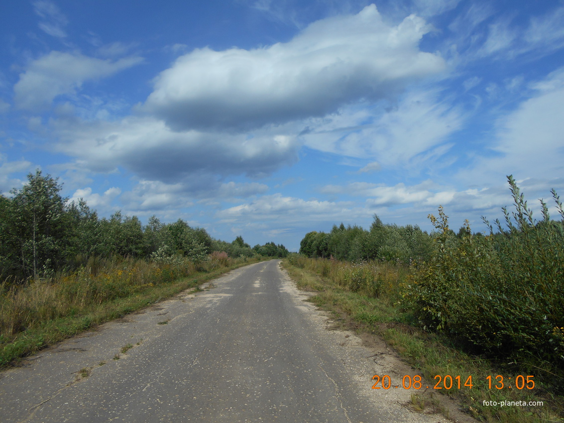 Дорога в Орлово