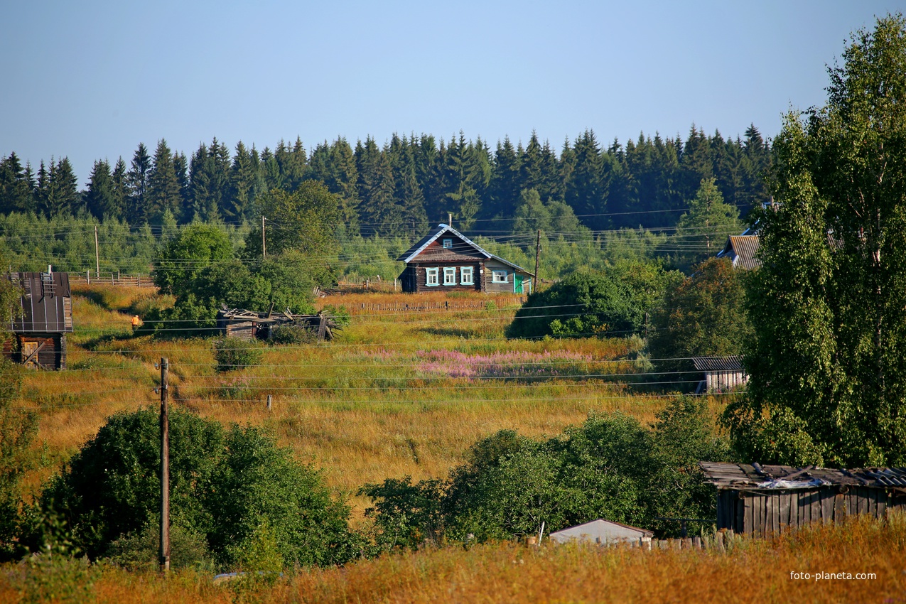 Среди природы