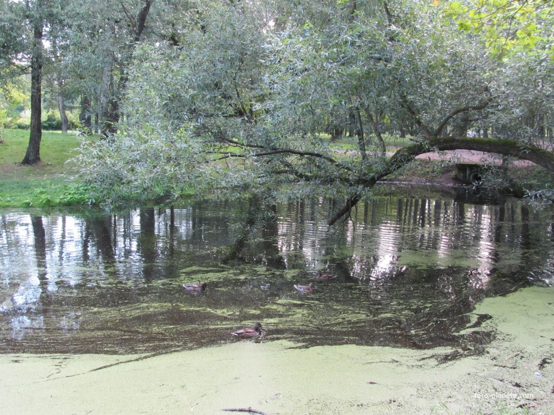 Парк в ганицах улиц Новобелецой и Тамбасова