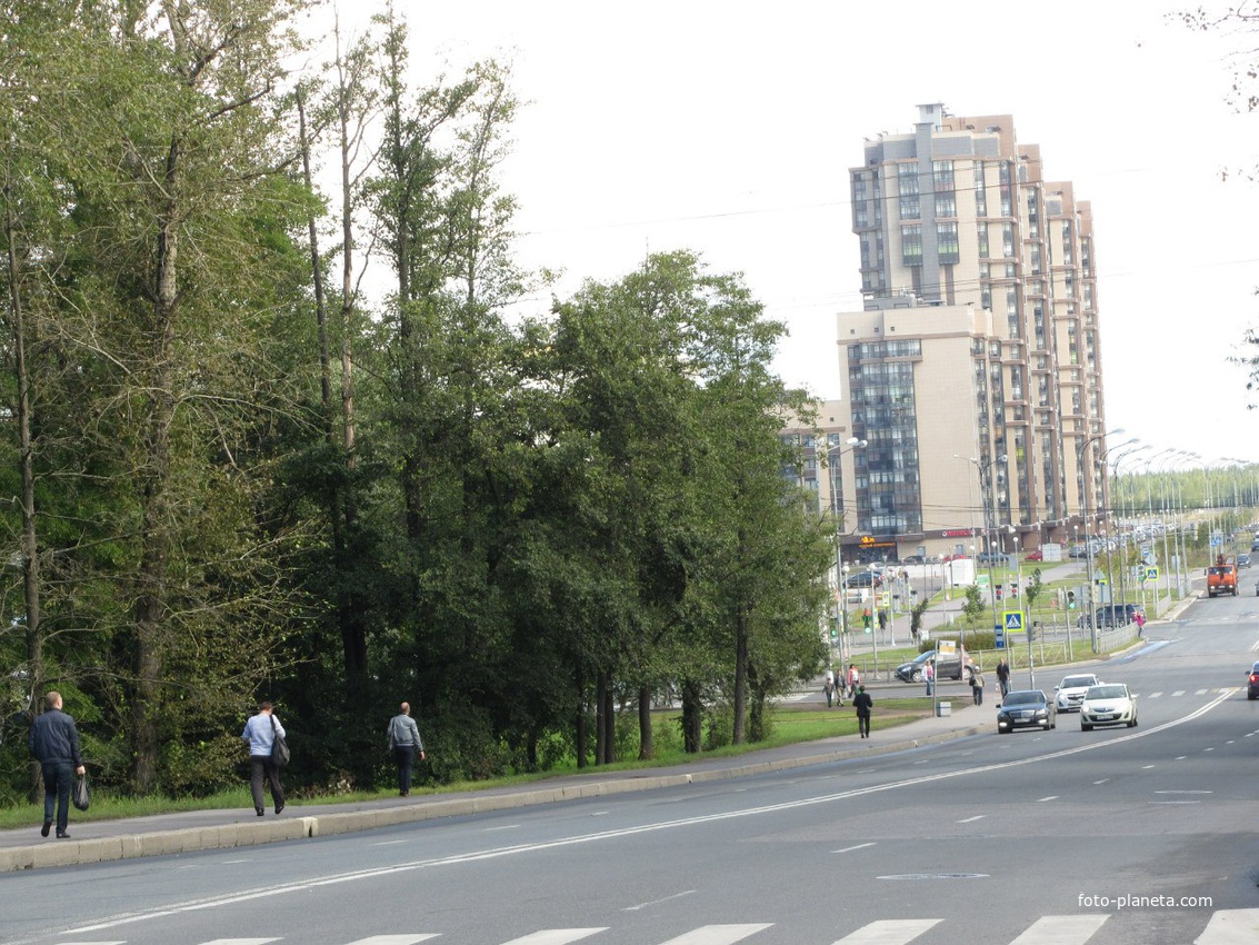 ул. Пограничника Горькавого