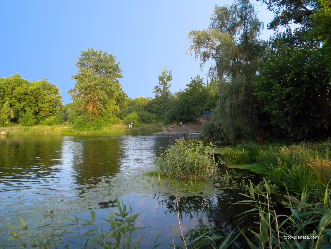 Река Нежеголь в городе Шебекино