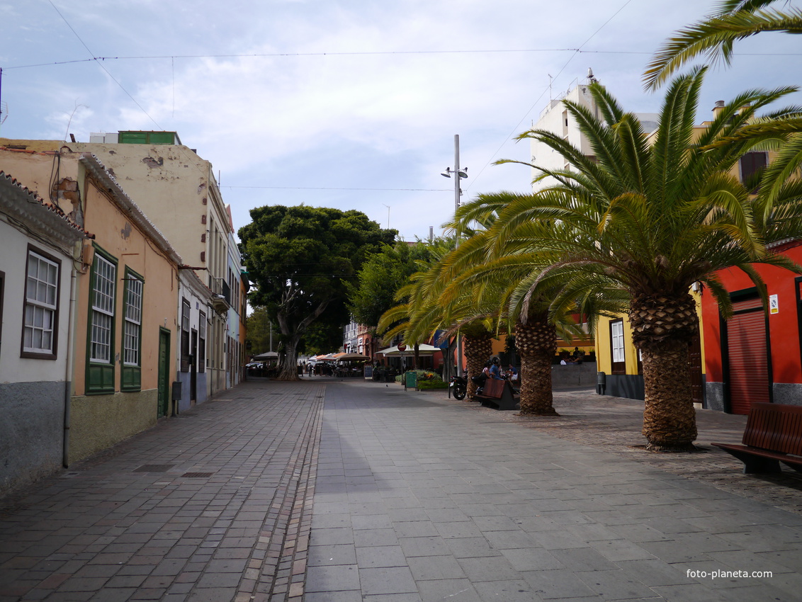 Улица в Санта Крус де Тенерифе...