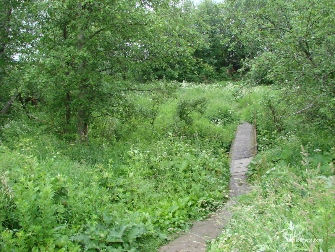 Речка Ярчиха, 2014 г.