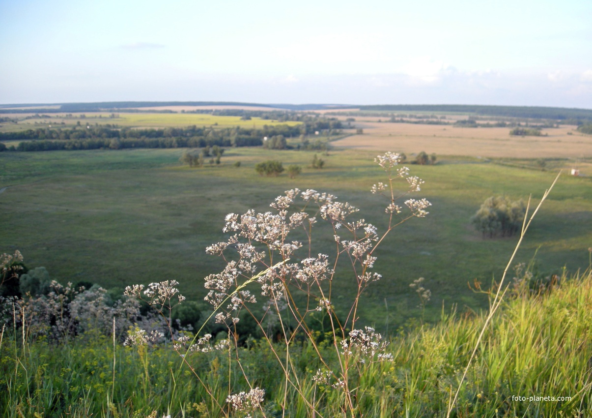 Природа села Крапивное