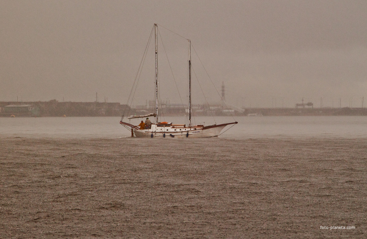 Финский залив