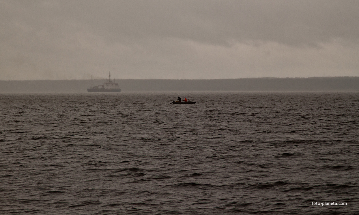 Финский залив