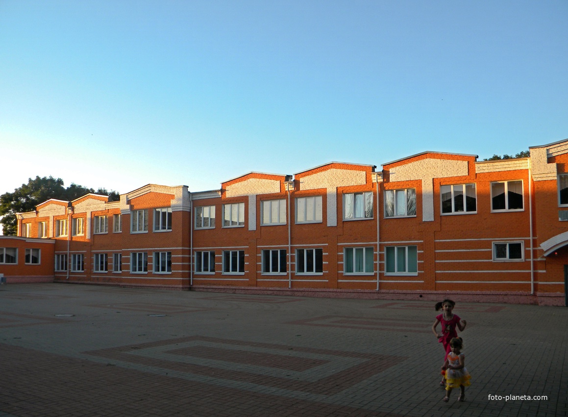 Школа и техникум села Дмитриевка