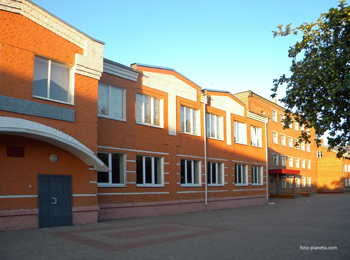 Школа и техникум села Дмитриевка