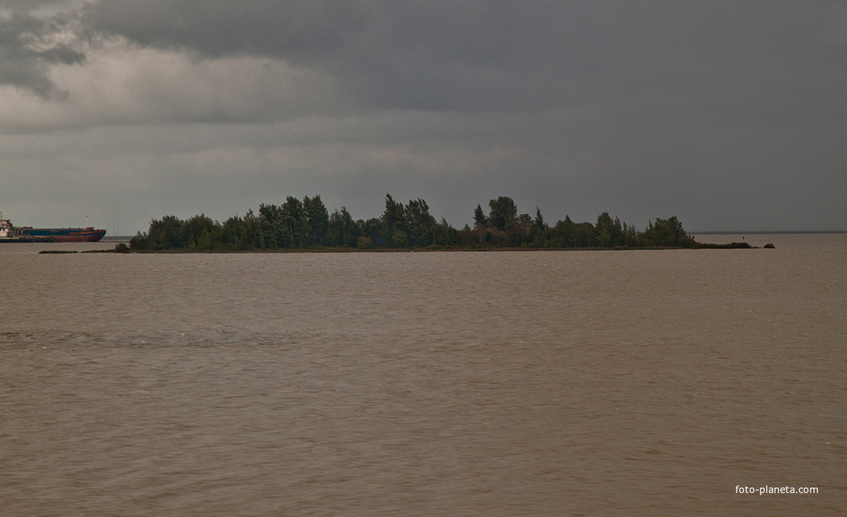 Финский залив