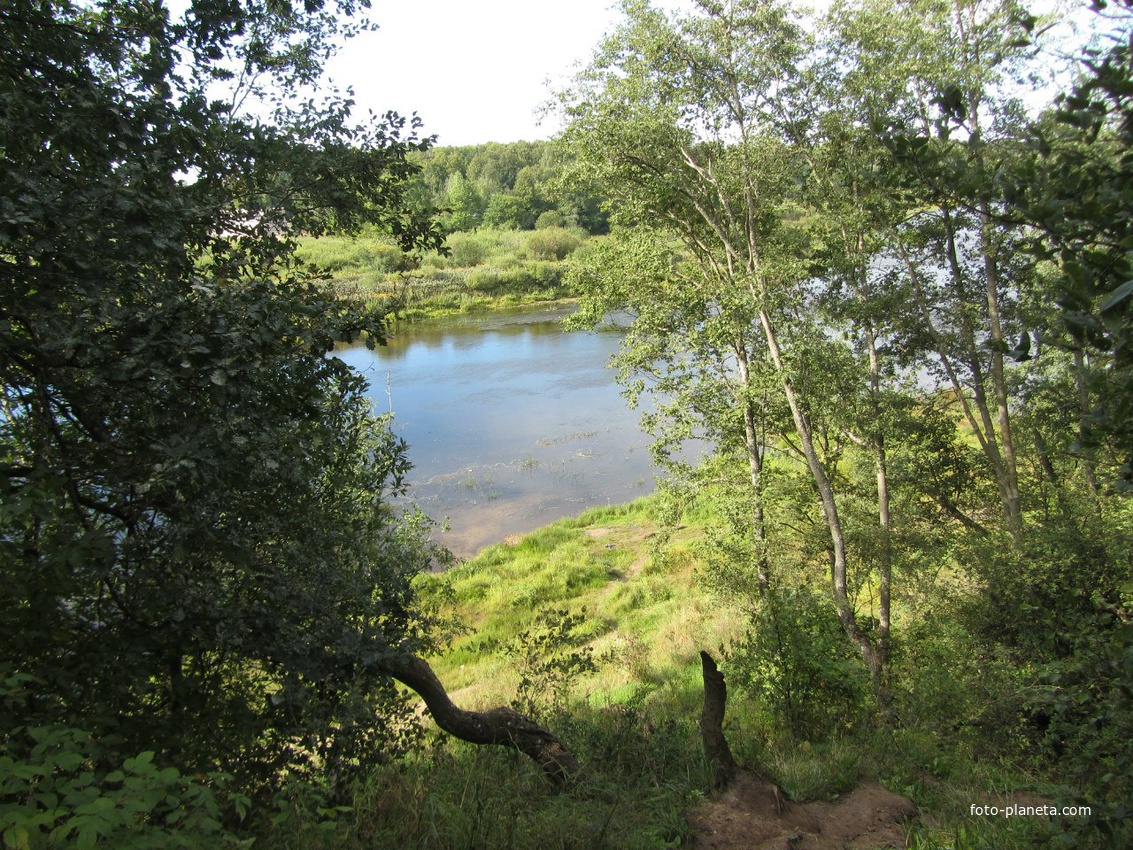 река Луга