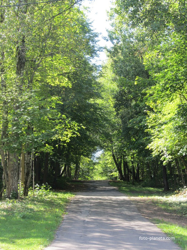 Парк романовка в кингисеппе