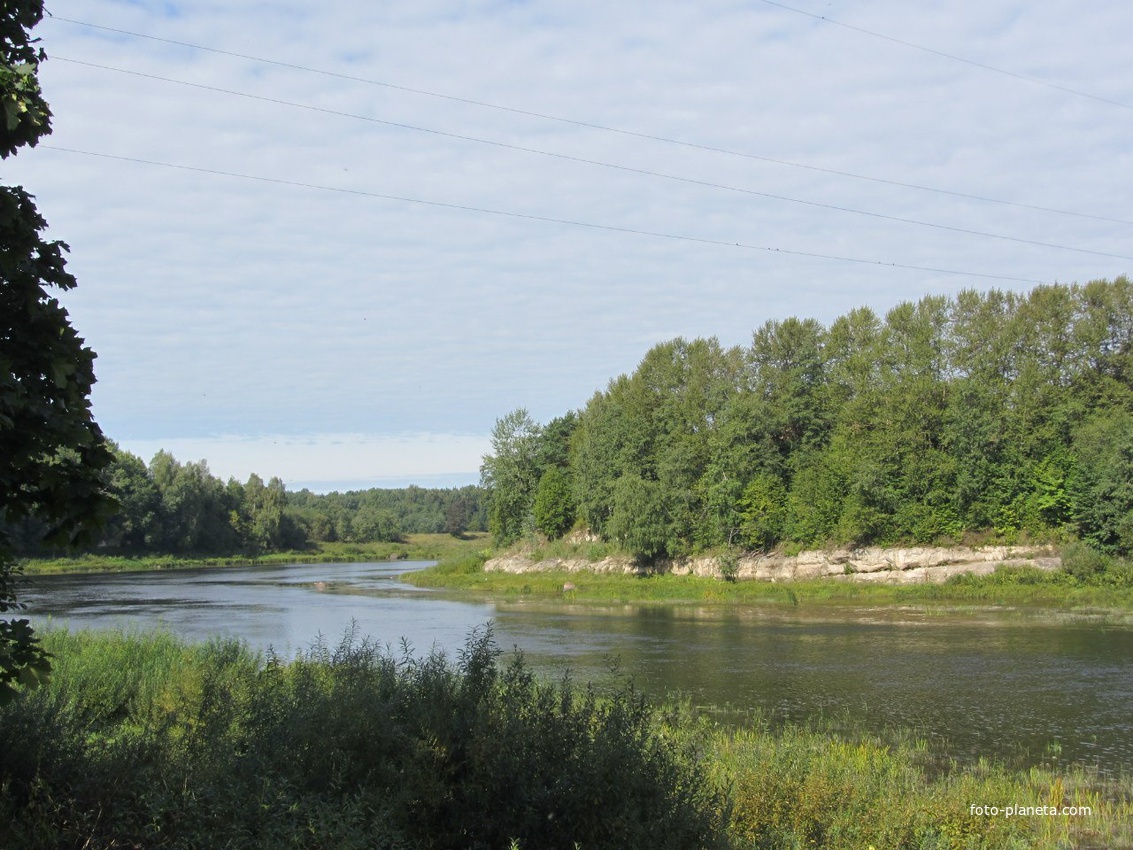 Кингисепп парк романовка