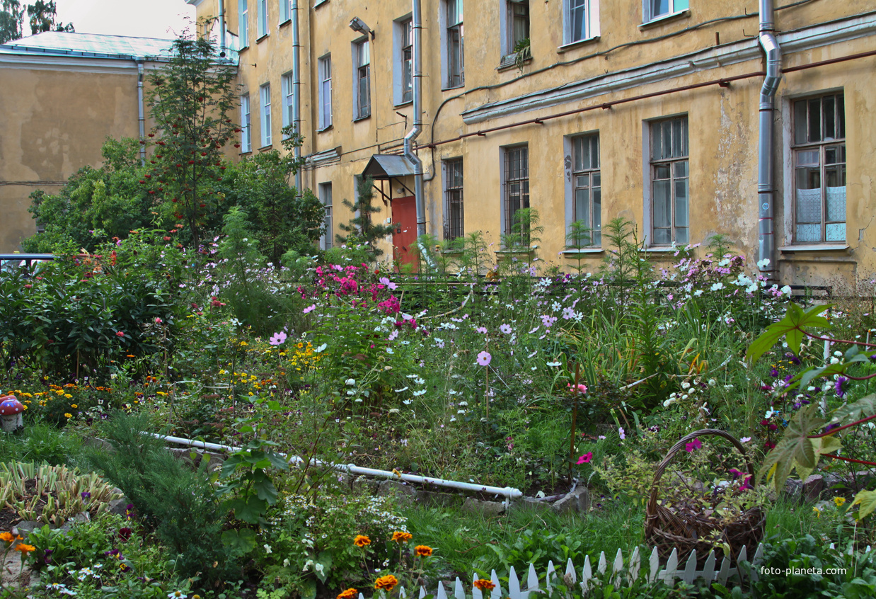 Двор на улице Петровской