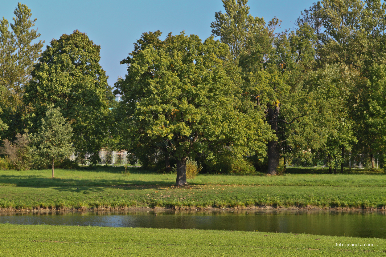 Александровский парк