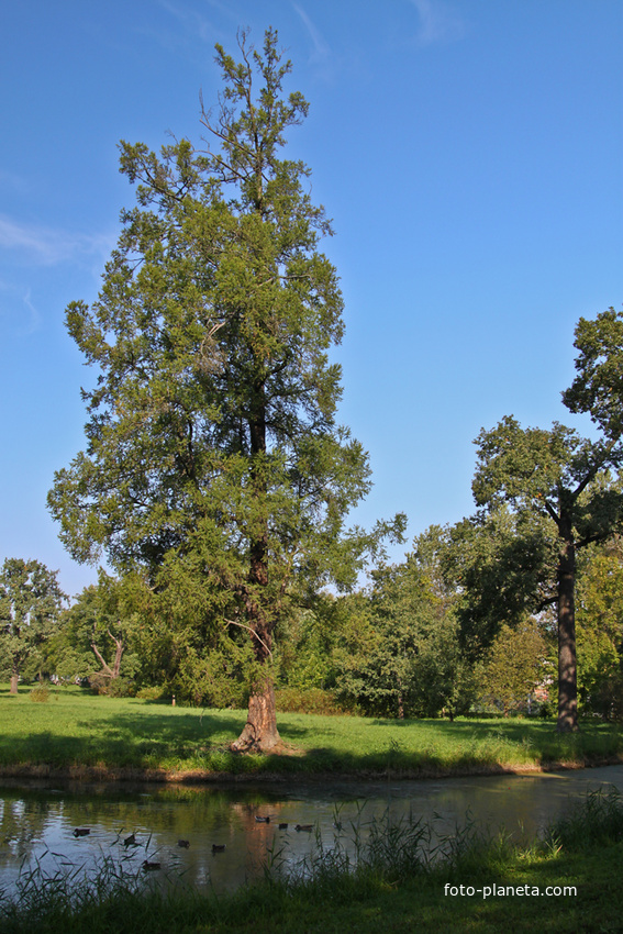Александровский парк