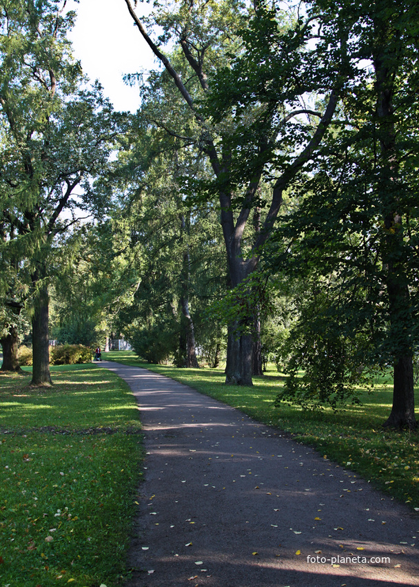 Александровский парк