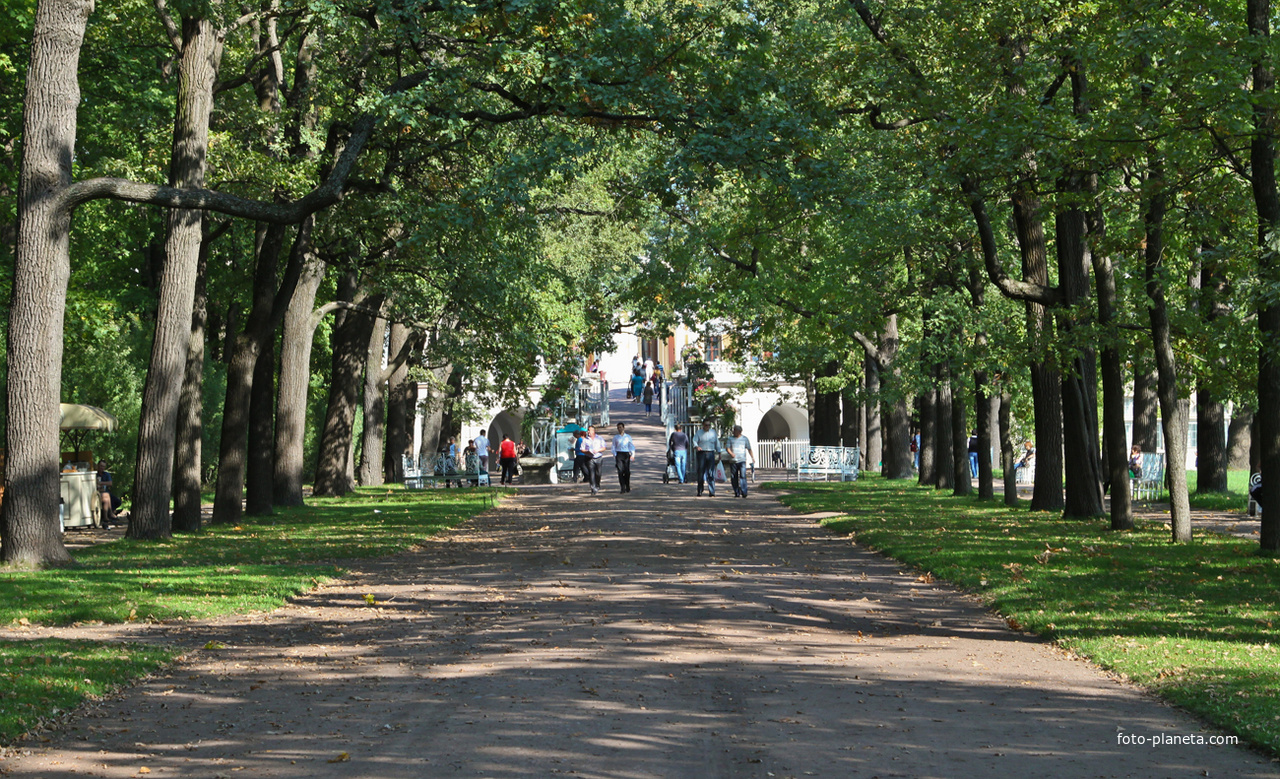 Рамповая аллея