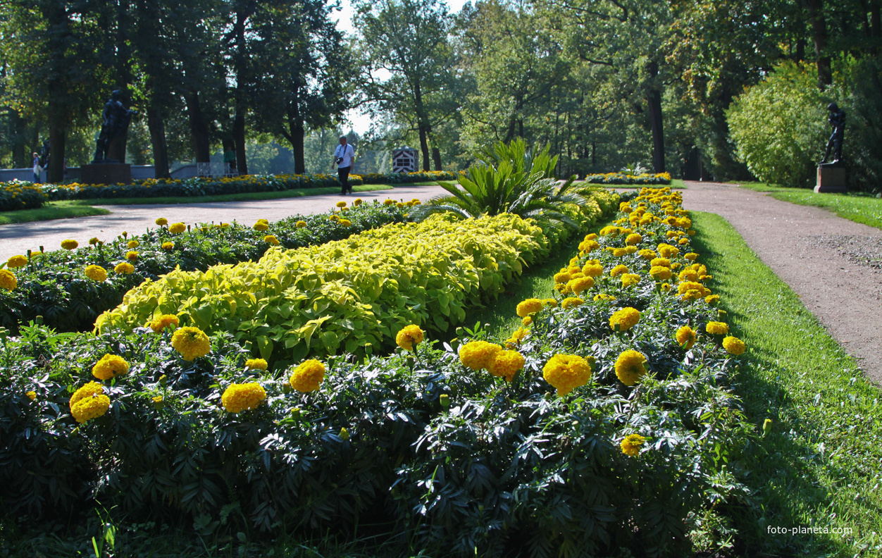 Рамповая аллея