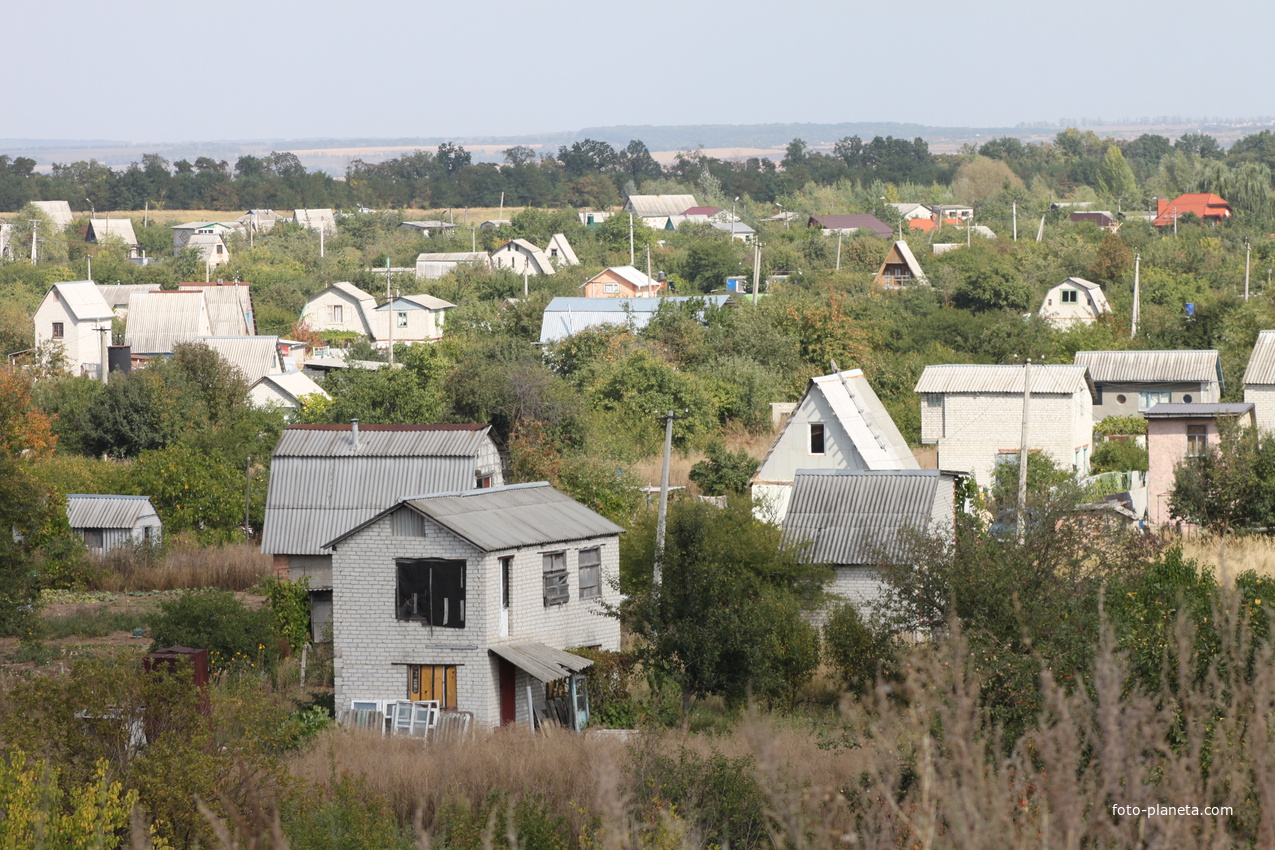 Беломестное.