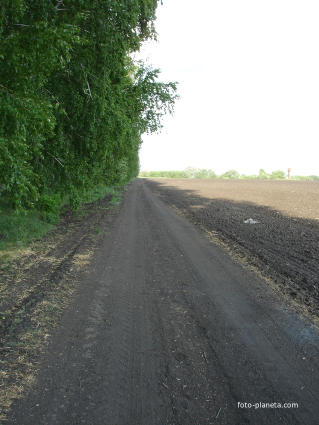 дорога к Алексеевке от Николаевки