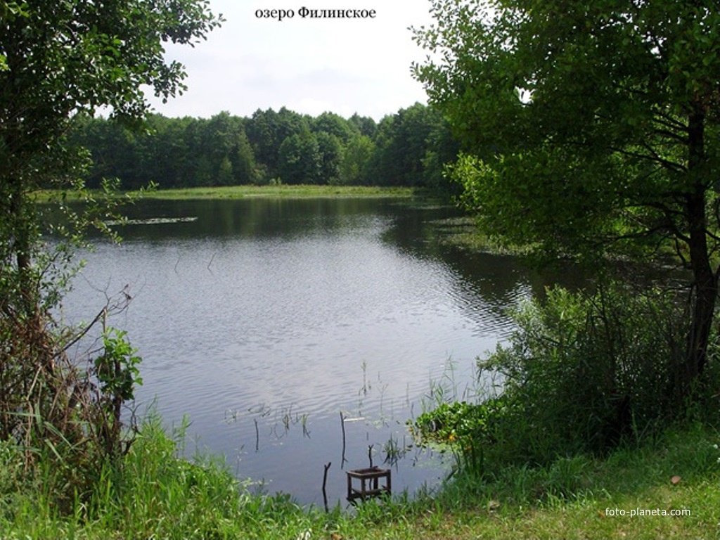 Озеро Филинское (севернее деревни Филинская)