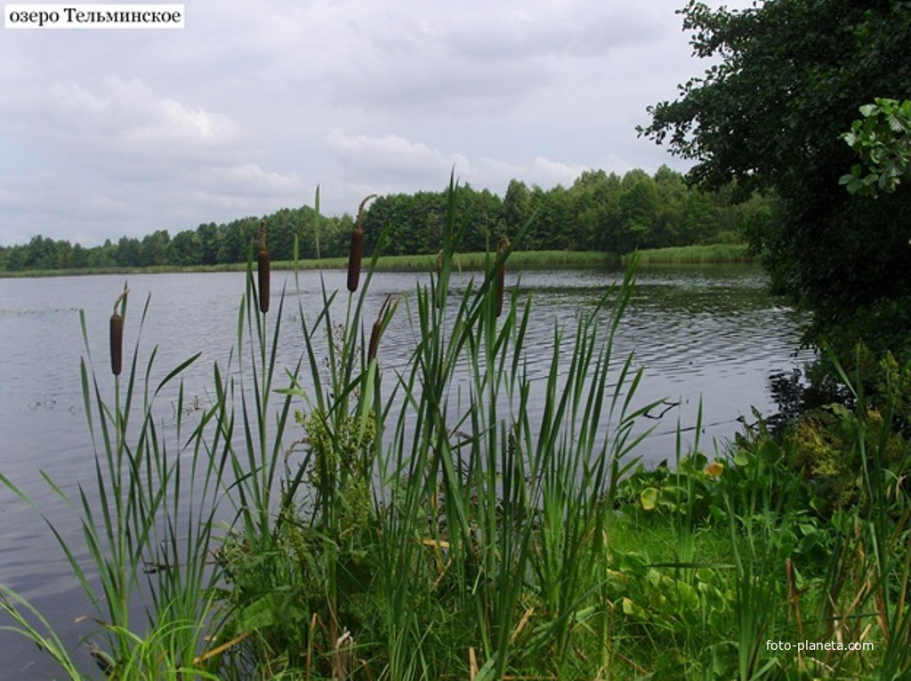Озеро Тельминское (западнее деревни Тельма)