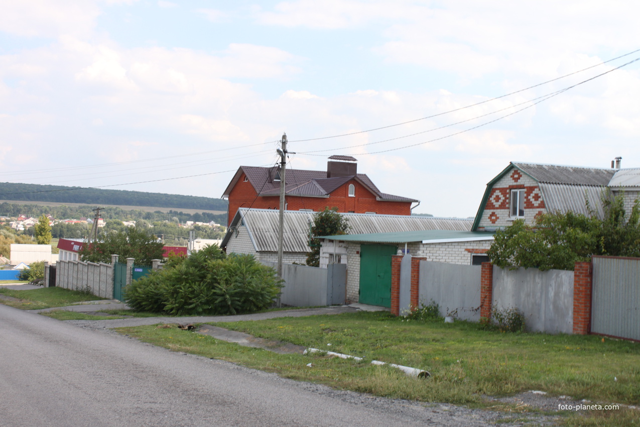 Шопино. Пер. Школьный.