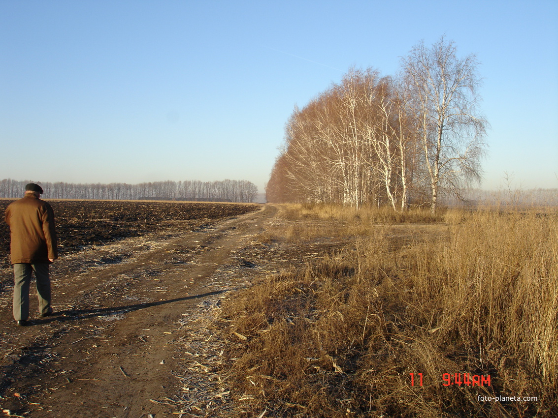 Дорога от Алексеевуи на Николаевку