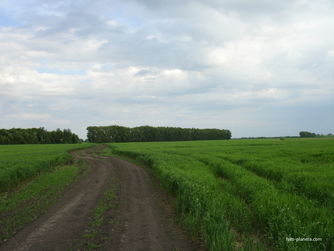 Дорога в Алексеевку