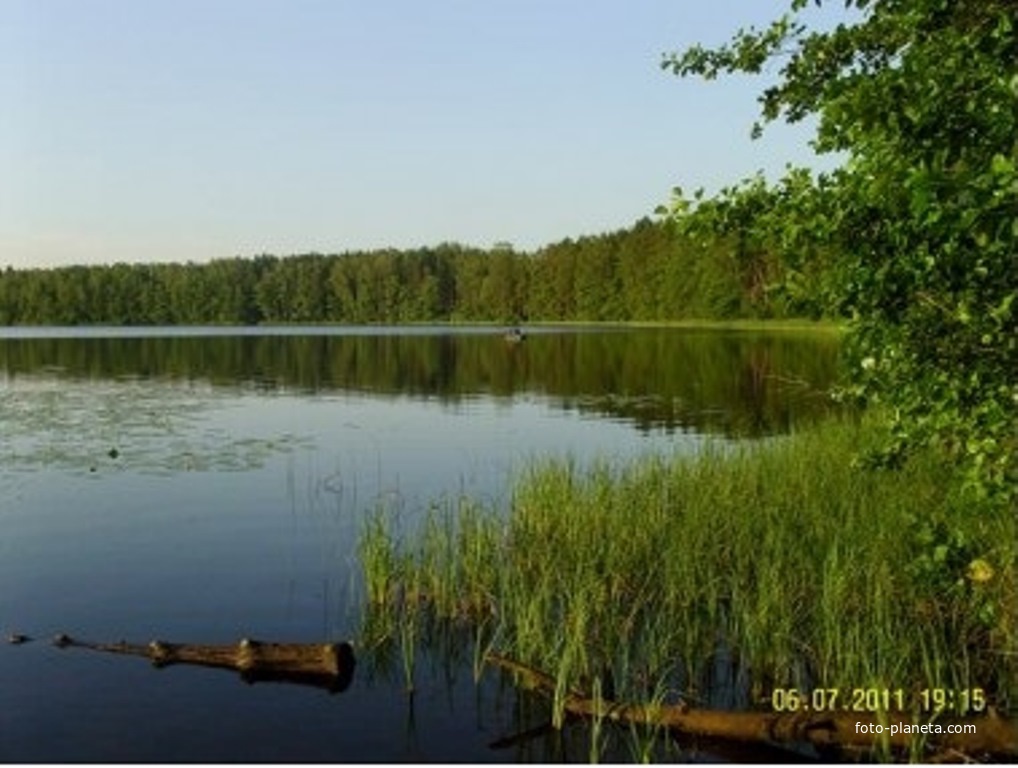 На Чёрном Бордуковском озере водную чашу июль окаймил...