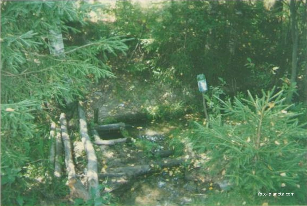 Родник у деревни Подлесная.  Фото 28 июля 1997г.
